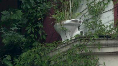 A toilet as a flowerpot in Toxteth