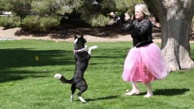 Woman dancing with her dog