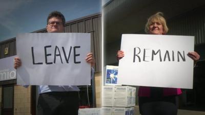 Leave and remain voters