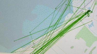 Satellite tracking of the geese