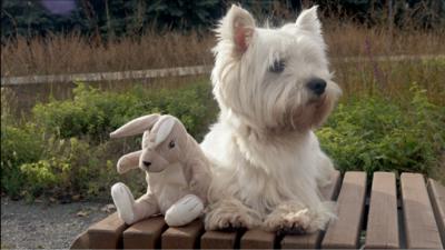 A dog and his stuffed bunny friend