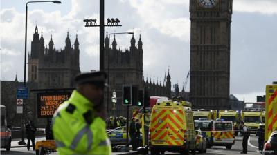 Parliament with ambulances