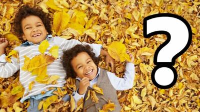 Kids laying down in leaves with a question mark next to them.