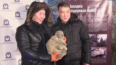 Two scientists holding the cave lion