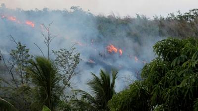 Rainforest fire (c) Alexander Lees