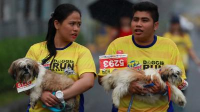 Pet owners carry their dogs as rain pours during a fun run for charity in Pasay City