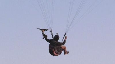 Man paragliding with a falcon