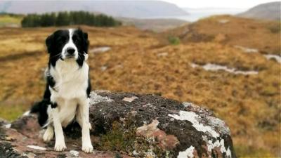 WalkHighlands