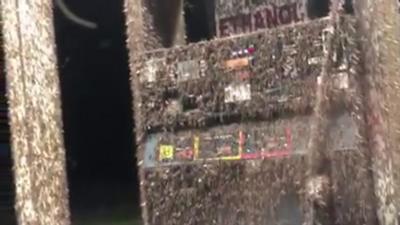 Mayflies swarm petrol station