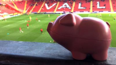 Toy pig at the valley