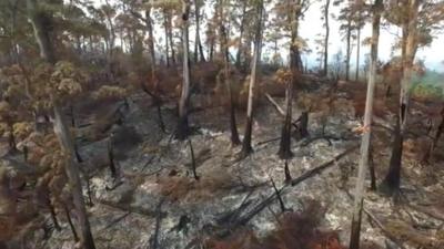 Tasmania fire damage