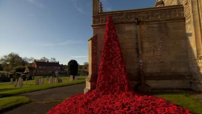 Poppies