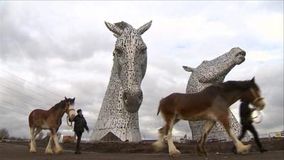 Clydesdale horses and The Kelpies