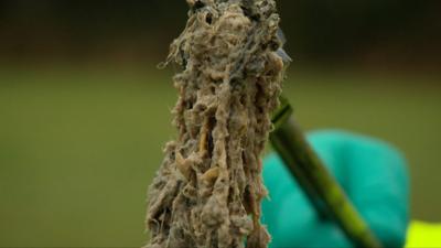 Tangled wet wipes hanging from a stick