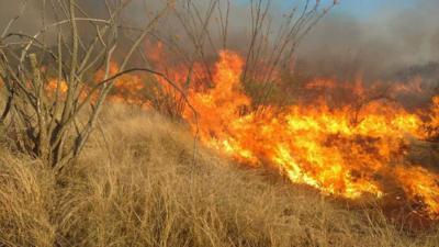 The wildfire in Sawmill, Arizona