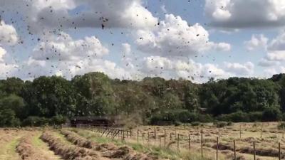 Hay tornado in Leicestershire field