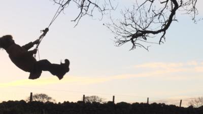 A boy on a tree swing during sunset.