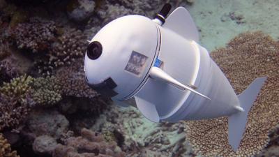 SoFi - the soft robot fish