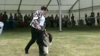 Linda Avery at a dog show