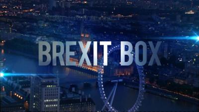 Brexit Box text