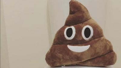 Soft-toy poo emoji