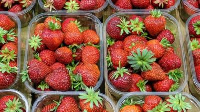 strawberry punnets