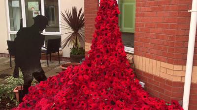 Poppy display