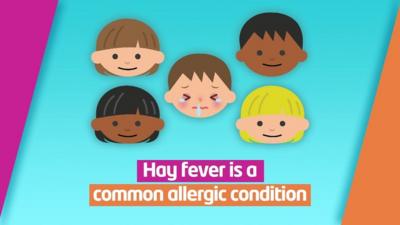 Hay fever is an allergy which affects lots of people in the UK - and the warmer weather can sometimes make it worse for people who have it...