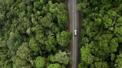 Rainforest in Colombia