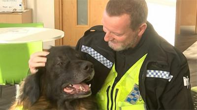 Dog with police officer