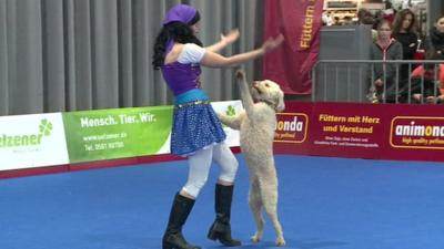 A woman dancing with a dog