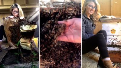 Erika Thompson saving bees