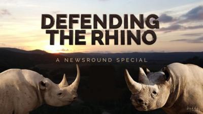 Defending the Rhino image