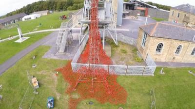 Poppies at Woodhorn