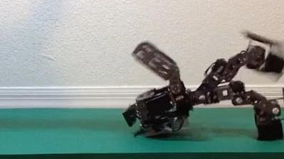 A tumbling robot