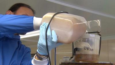 Scientist makes electricity from urine