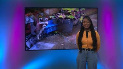 Emma-Louise in the Newsround studio