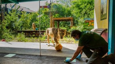 ZSL London Zoo reopens after lockdown