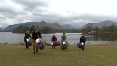 'sheep puppets' in Keswick