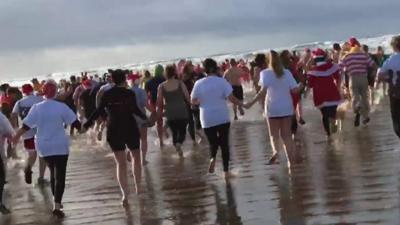 Pembrey walrus dip