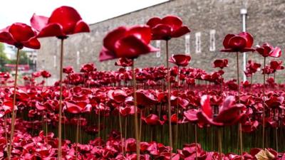 Ceramic poppies