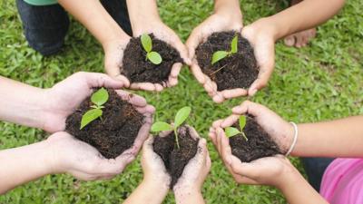 Hands-holding-soil-plus-sprout.