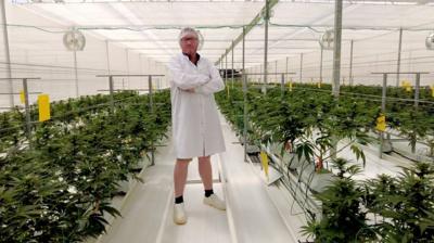 Cannabis farmer Euan Keenan