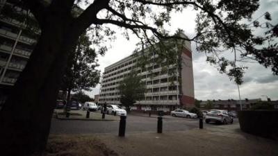 Tree in front of block of flats on east London estate