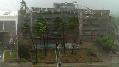 Palm trees are battered by Hurricane Patricia