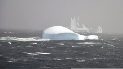 Southern Ocean