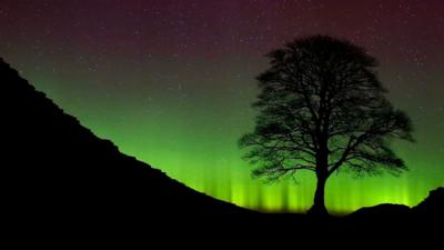 The Northern Lights, or Aurora Borealis, shine over the Sycamore Gap at Hadrian's Wall in Northumberland. Sunday 6th March, 2016.