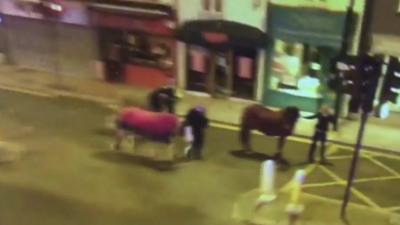 Police march horses down high street