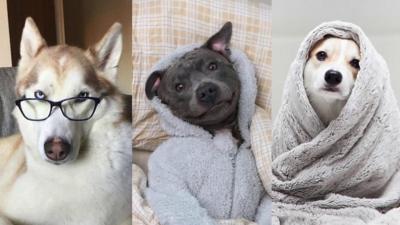 Mika, Ramsey and Winny as seen on Instagram