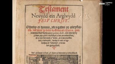 Testament newydd